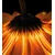 Fototapeta gerbera na temnem ozadju - 245x270