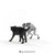 Schleich Set Werewolf vs Animagus Harry Potter