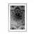 Plakat s paspartujem črnobela Mandala - 40x60 white