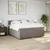 Vidaxl Box spring postelja z vzmetnico taupe 200x200 cm blago