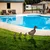 Aberto Design Dekorativna figura Fam 01