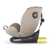 Coccolle avtosedež Nova 2022 Isofix iSize (0-36kg), Sand beige