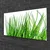 tulup.si Steklena slika Grass on wall 125x50 cm 2 obešalnika