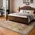 VEVOR Preproga 2439x3048 cm rjava zelena