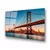 WALLXPERT UV 170 70 x 100