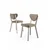Hanah Home Set stolica Arfe, 101x76x26 cm, 4 komada, Bež