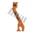 Bear Archery Youth Bow Package Apprentice