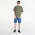 Majice Dickies East Liberty Stripe Ss Tee Cypress M