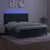 VIDAXL Box spring postelja z vzmetnico LED tem. zelena 180x200cm žamet