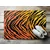 tulup.si Predpražnik notranji Tiger Stripes 150x100 cm