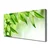tulup.si Slika na platnu Green leaves narava 140x70 cm
