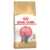 Royal Canin Breed Nutrition Kitten British Shorthair - 2 kg