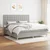 Vidaxl Box spring postelja z vzmetnico svetlo siva 200x200 cm blago