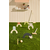 Kids Concept - kriket Edvin