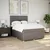 Vidaxl Box spring postelja z vzmetnico taupe 140x190 cm blago