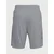 Under Armour Kratke hlače Tech Graphic Short L