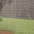 Kavez za zečeve Srebrno 200 x 78 x 78 cm Cinkani čelik