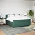 Vidaxl Box spring postelja z vzmetnico temno zelena 180x200 cm žamet