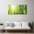 tulup.si Steklena slika Bamboo rastlin 120x60 cm 2 obešalnika
