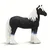 Safari Konj Gypsy Vanner