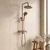 Tuš Set Rea Arcos brush copper