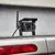 Osram - Unazadna kamera ROADSIGHT OWRC7 Full HD 1080p 12/24V IP67