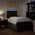 vidaXL vidaXL Box spring postelja z vzmetnico temno rjava 120x190 cm blago, (21321561)