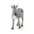 Schleich Schleich Wild Life - Samica zebre, figurica za otroke 3+
