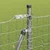 Vanjski Euro Ograda s Betonskom Podlogom 10 x 1,5 m Srebrna
