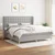 Vidaxl Box spring postelja z vzmetnico svetlo siva 200x200 cm blago