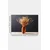 Slika Wallity 248310130-5070, 50x70 cm