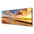 tulup.si Slika na platnu Ocean beach landscape 120x60 cm