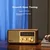 Sangean FM Radio i zvučnik WR-11BT Blues II, Braon