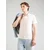 LEVIS  Majica Original Polo pastelno roza