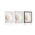 Plakat beli cvetni listi - 30x45 black