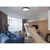 LED stropno svetlo ILVI, prigušiva, LED/45W/230V 2700-6500K prečnik 50 cm crna/mesing + daljinski upravljač