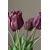 Botané umetni šopek dekorativni 47 x 18 cm