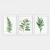 Wallity Uramljena slika 3BC_501923_5575, 55x75 cm, 3 dela