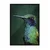 WallXpert uramljena slika 115245, kolibri u zelenim i plavim tonovima na tamnozelenoj pozadini, 50 x 70 cm, crni ram