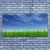 tulup.si Slika na platnu Sky grass nature rastlin 140x70 cm