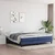 Vidaxl Box spring postelja z vzmetnico moder 200x200 cm blago