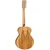 Tanglewood TW11-12 F OL Winterleaf akustična gitara
