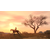 Uzmite dva Red Dead Redemption PS4