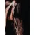 Fototapeta veličasten konj - 196x270