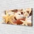 tulup.si Slika na platnu Starfish školjke beach 120x60 cm