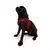 Paws & Whiskers Am za pse Air-Mesh, Crveni