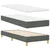 Vidaxl LED Box Spring Postelja z blazino Temno siva 80 x 200 cm blago
