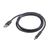 CC-USB2-AMCM-1M Gembird USB 2.0 AM to Type-C cable (AM/CM), 1m