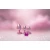 Dream Toys Gleaming Love Plug Set Matte Pink