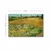 Wallxpert 4570VANGOGH012 Dekorativna slika, 45x70cm